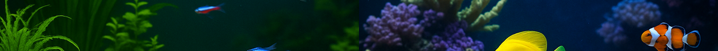 How to Choose an LED Light for Your Aquarium