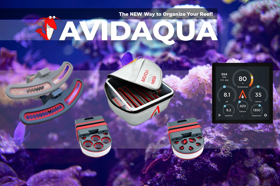 Introducing AvidAqua: Smarter Reef Accessories for Cleaner, More Organized Systems