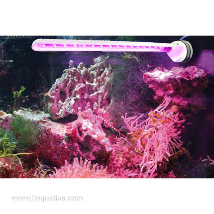 Reef aquarium being lit with Tunze Eco Chic LED Refugium Light