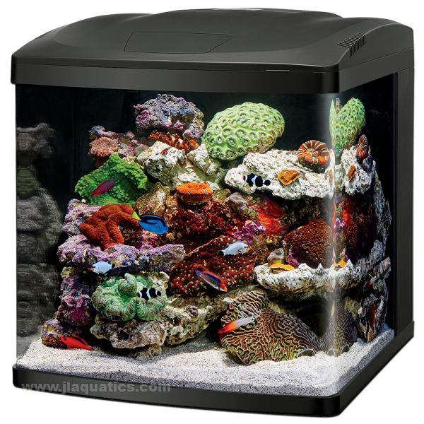 Coralife LED BioCube (32 Gallon) | JLAquatics Canada – J&L