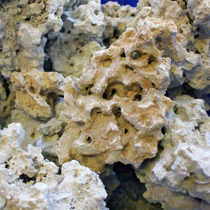 Close up of the surface texture of Marco Rocks Reef Saver Reef Rock