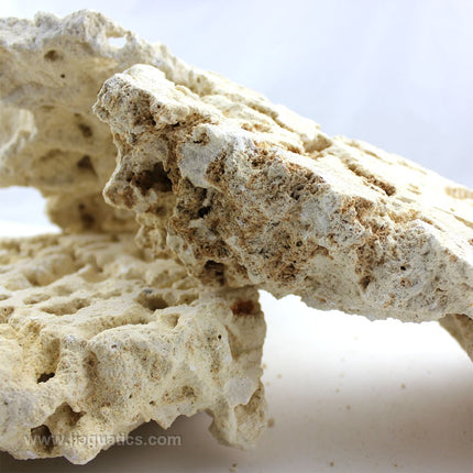 Closeup of surface texture of Marco Rocks Reef Saver Foundation Rock