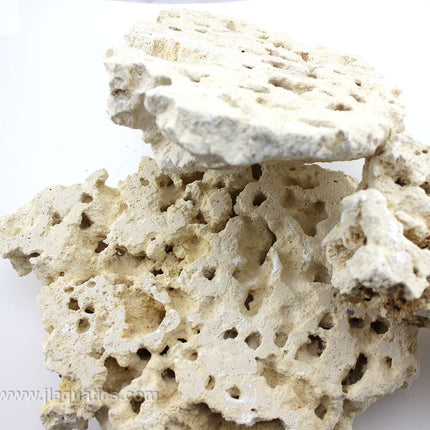 Closeup of surface texture of Marco Rocks Reef Saver Foundation Rock