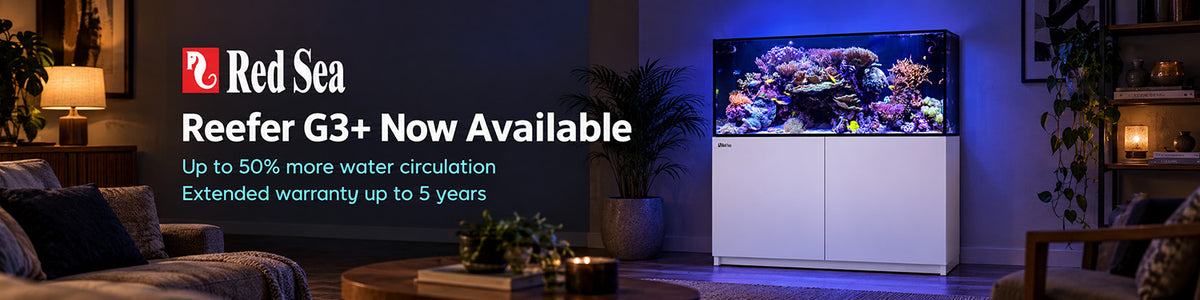 Red Sea Reefer G3+ reef aquarium with white cabinet in a living room – now available with up to 50% more water circulation