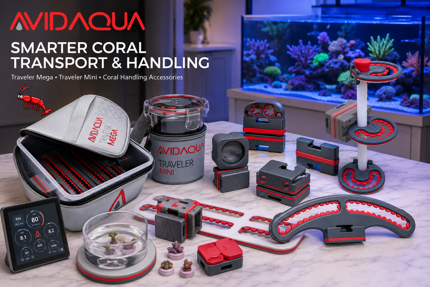 Coral Transport, Frag Handling, and Cleaner Reef Maintenance with AvidAqua