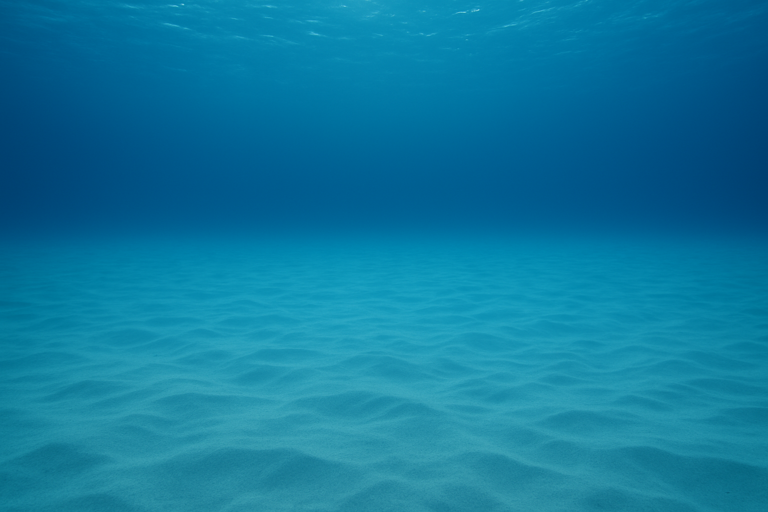 Why You Need Tank Covers for Your Aquarium  And why Jumpguards are among the best solutions