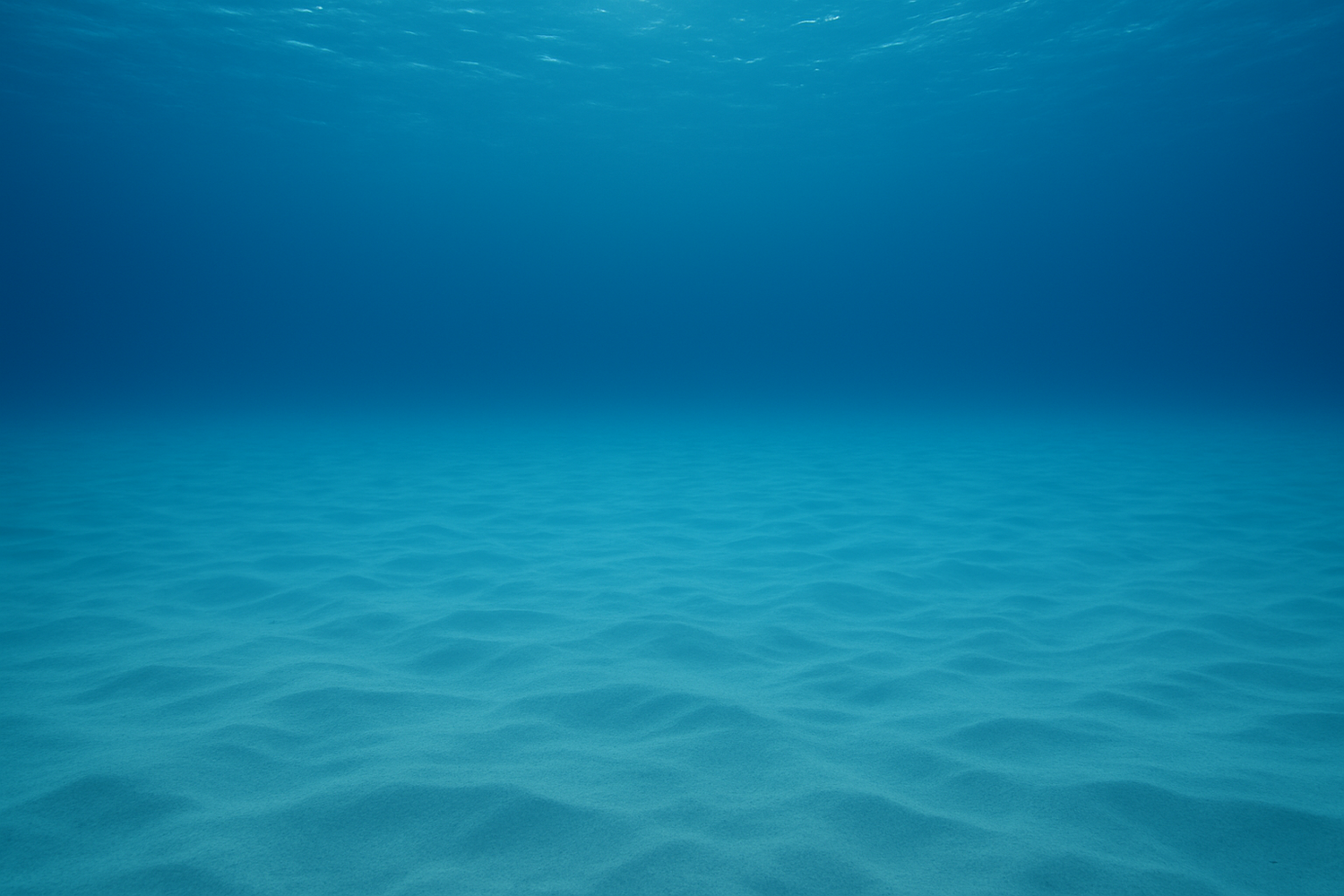 Why You Need Tank Covers for Your Aquarium  And why Jumpguards are among the best solutions