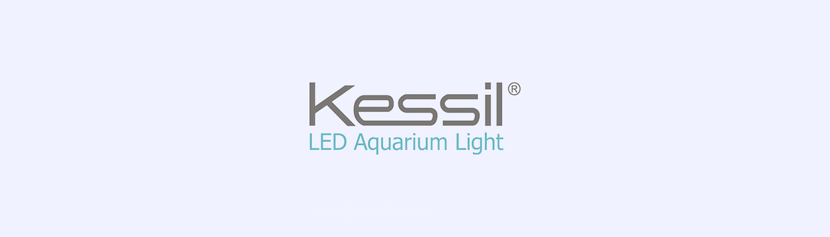 Kessil Lighting