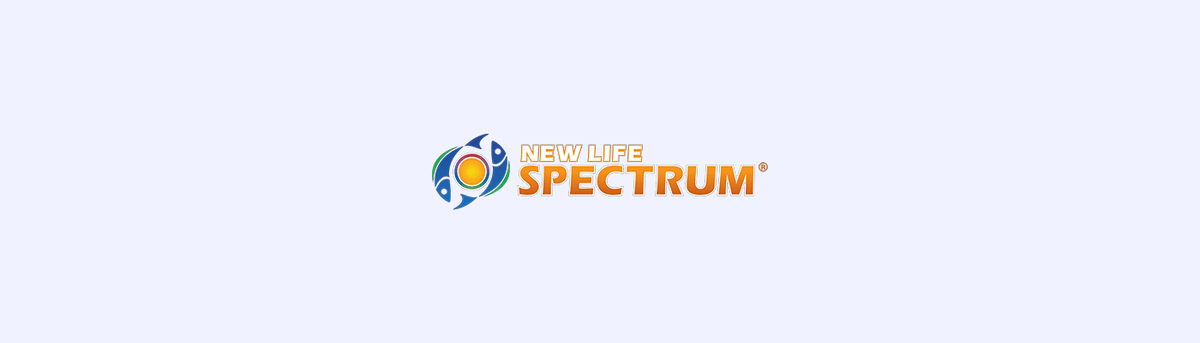 New Life International