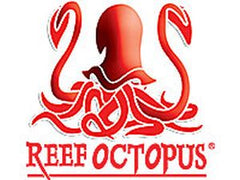 Collection image for: Reef Octopus