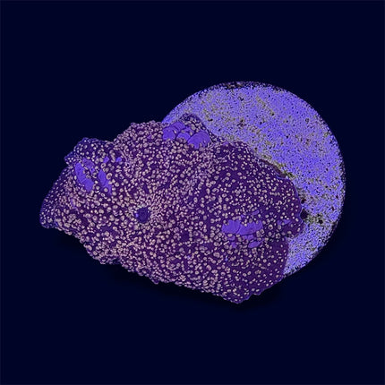 Orange Interstellar Mushroom - A33