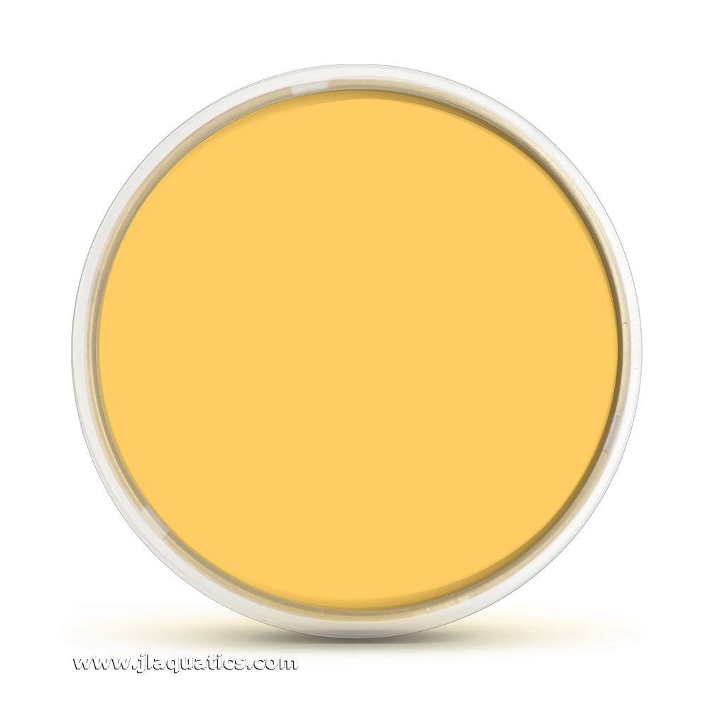 Flipper DeepSee Magnifier Orange Filter - 4 Inch out of retail packaging and ready to use in your home aquarium.