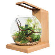 Fluval LIV Microscaping Aquarium Kit - Teak
