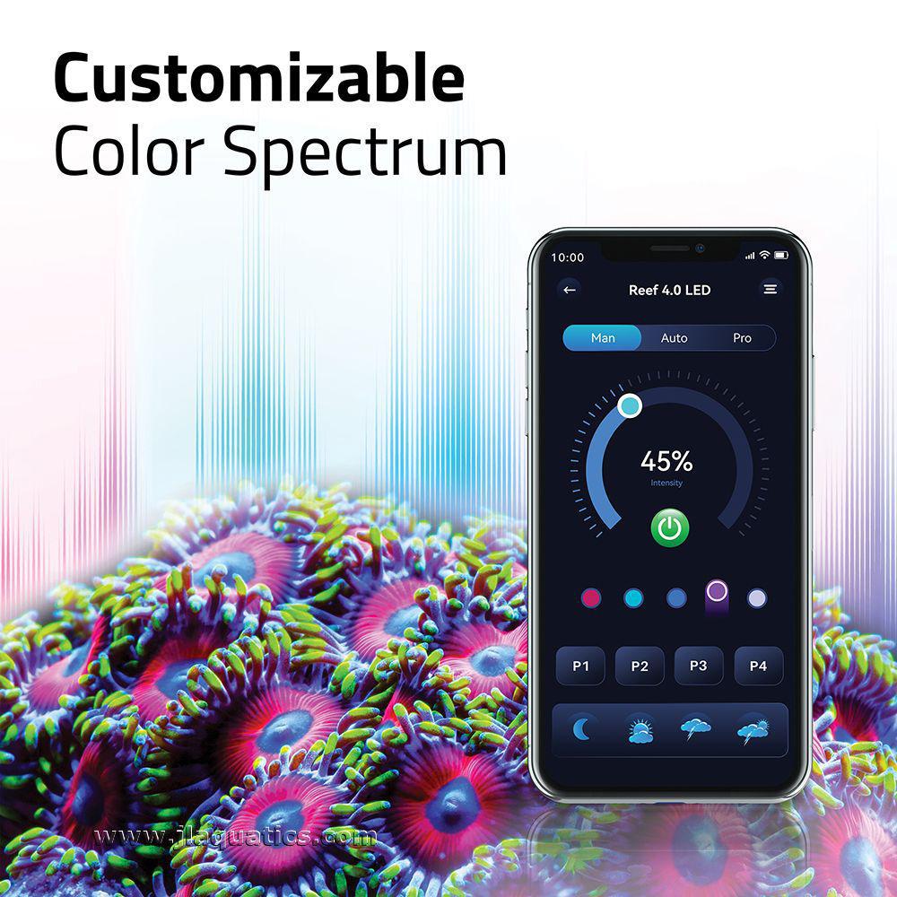 Fluval Reef 4.0 LED Aquarium Light offers a customizable color spectrum.