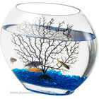 Hygger Glass Fish Bowl example image of the glass bowl set up with tree decoration and glass beads that are included with this product.