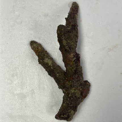 Thin Branching Live Aquarium Rock