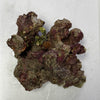 Coral Sea Live Aquarium Rock