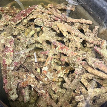 Thin Branching Live Aquarium Rock