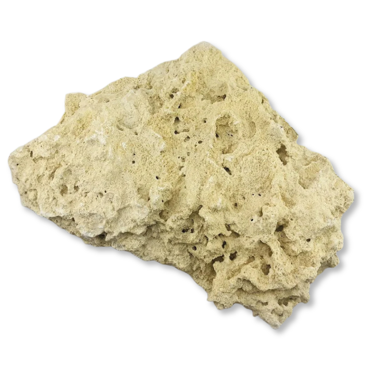 Marco Rocks Premium Shelf Rock - 1lb alternate top view