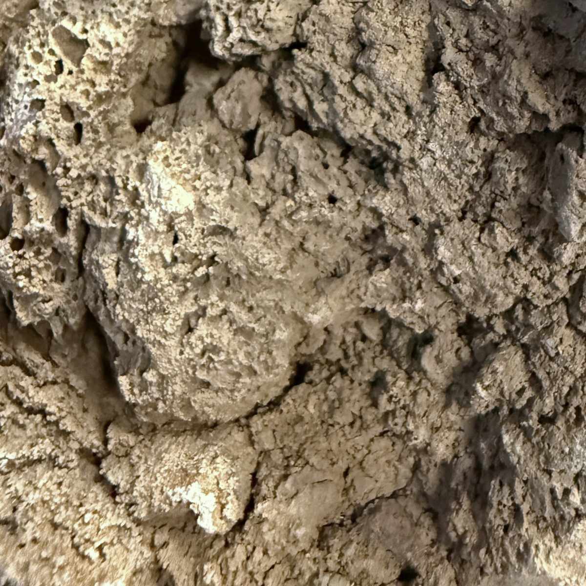 Reef Crest Black Lava Stone - 1lb close up of color and texture 
