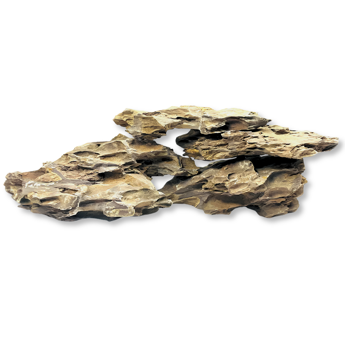 Reef Crest Dragon Stone Rock - 1lb