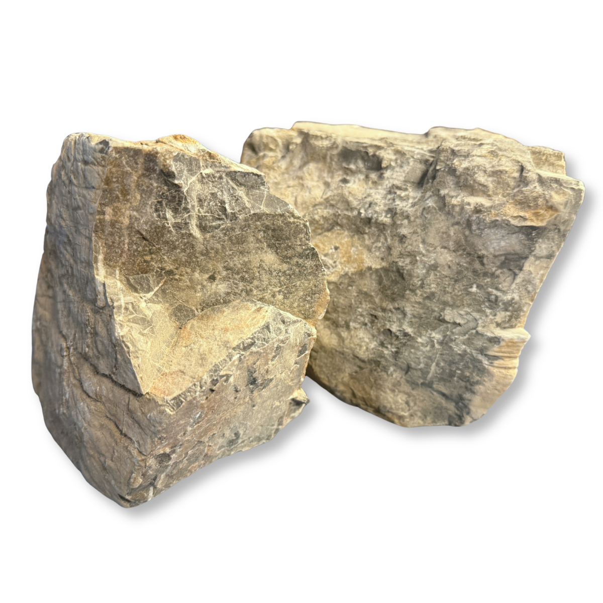 Reef Crest Elephant Stone Rock - 1lb