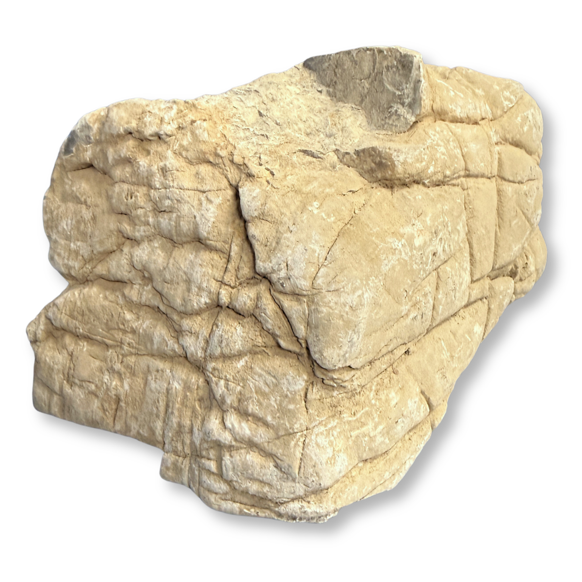 Reef Crest Elephant Stone Rock - 1lb back view of a single rock varient 