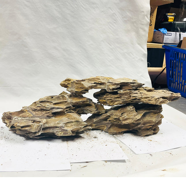 Reef Crest Dragon Stone Rock - 1lb
