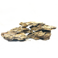 Reef Crest Dragon Stone Rock - 1lb