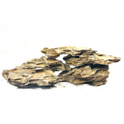 Reef Crest Dragon Stone Rock - 1lb