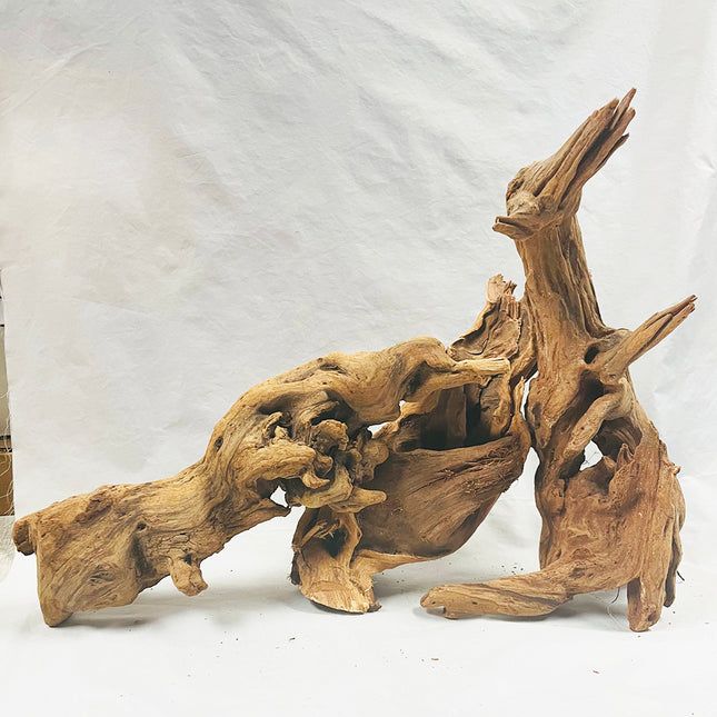 Reef Crest Malaysian Mangrove Sinking Driftwood - 12-16 Inch