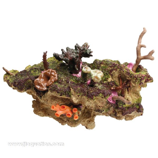 Tunze Coral Rack Long - 0104.820 being used with corals 