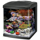 Buy Coralife LED BioCube (16 Gallon) at www.jlaquatics.com