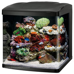 Buy Coralife LED BioCube (32 Gallon) at www.jlaquatics.com