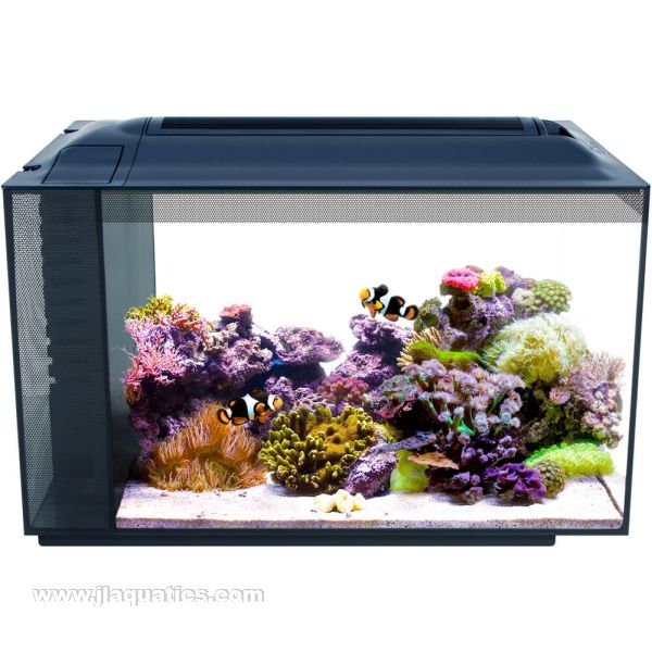 Fluval Sea EVO Aquarium Kit - 13.5 Gallon