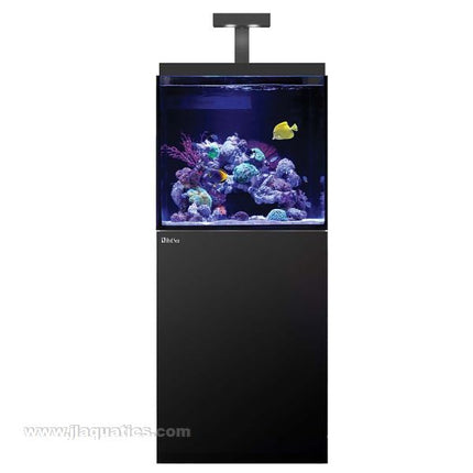 Black Red Sea Max E-Series 170 Aquarium