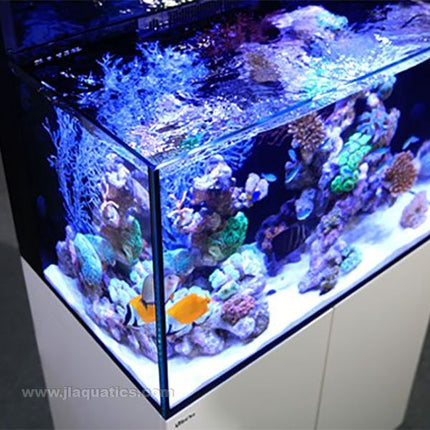 Red Sea Max E-Series 260 Aquarium - Black reef tank set-up