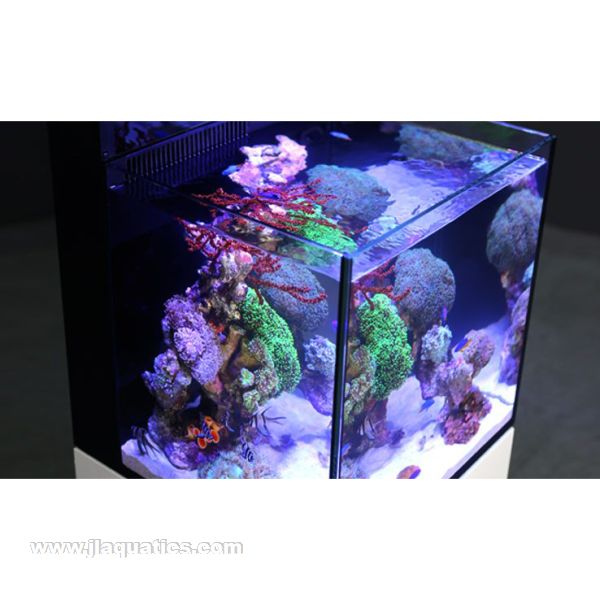 Red Sea Max Nano G2 Complete System - White top view of stocked reef tank