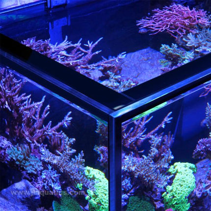 Red Sea Reefer-S 850 G2+ Aquarium rimless ultra clear glass in display reef tank