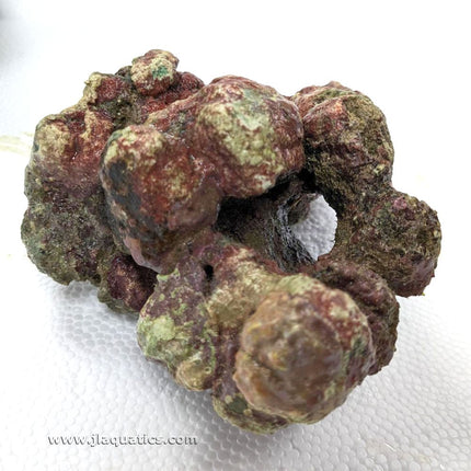 Indonesian Live Aquarium Rock