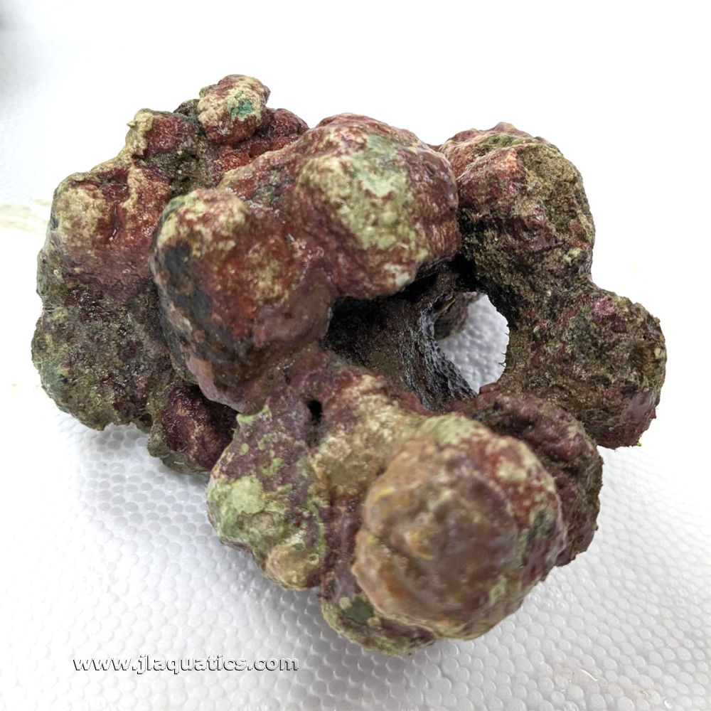 Indonesian Live Aquarium Rock