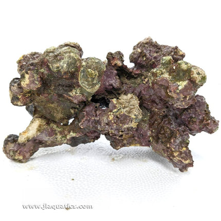Indonesian Live Aquarium Rock