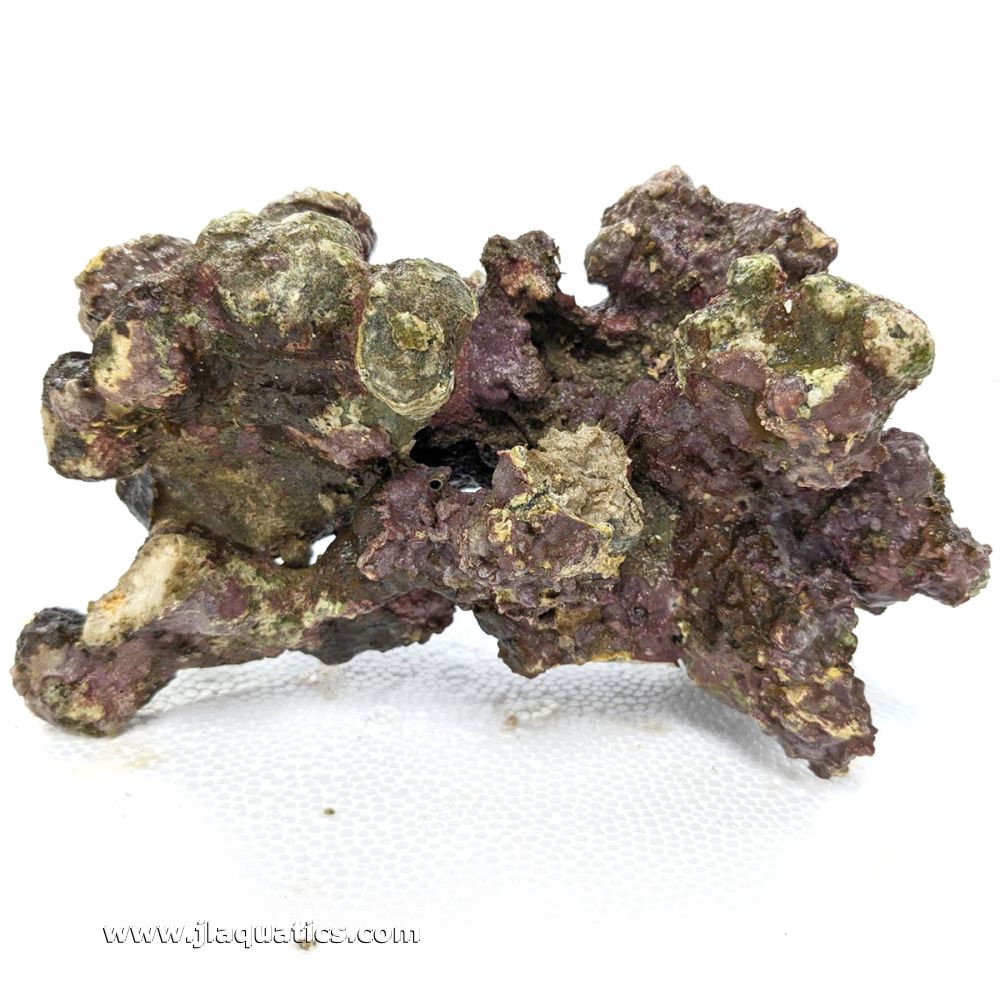 Indonesian Live Aquarium Rock