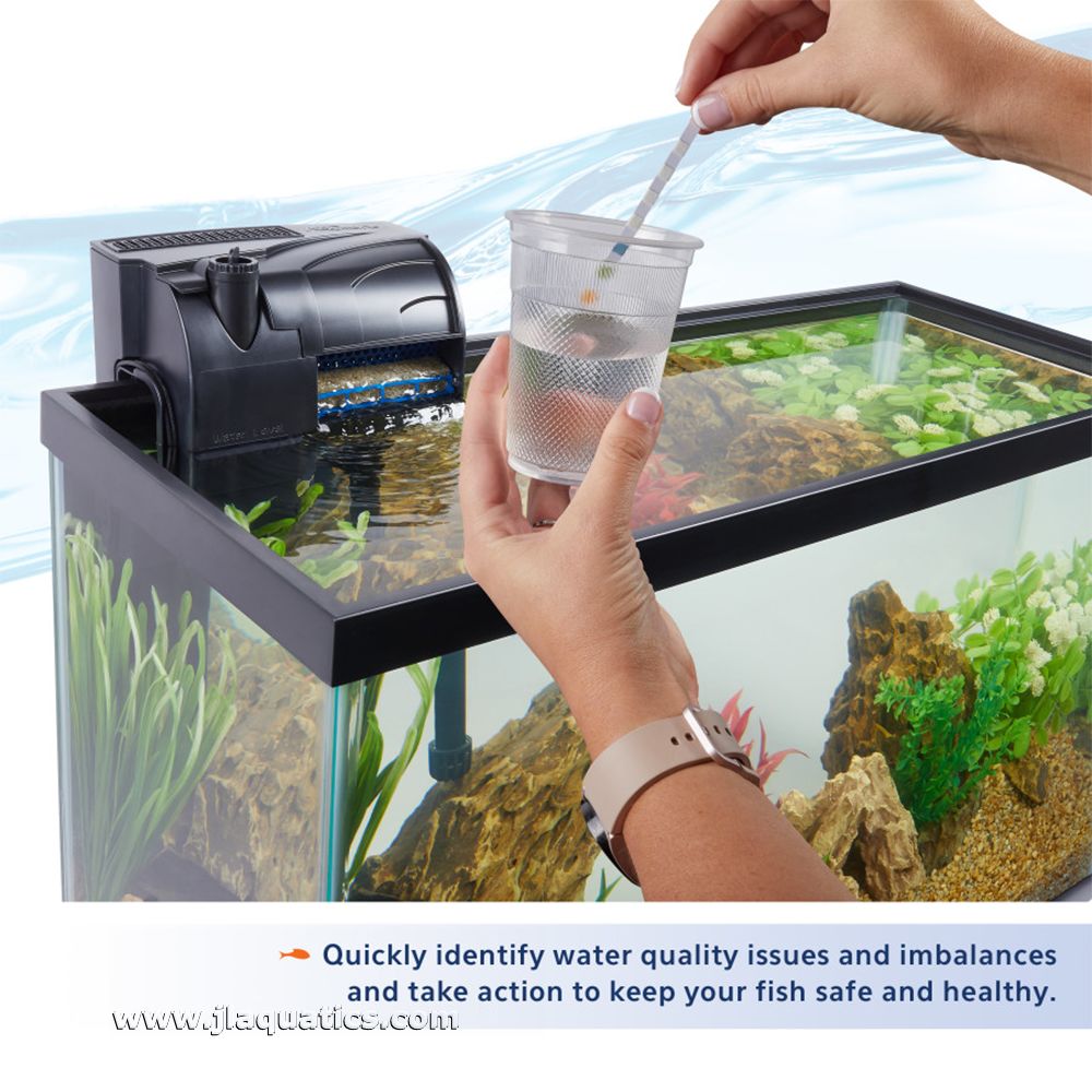Aqueon 7-in-1 Aquarium Test Strips - 50 Pack being used to test freshwater aquarium water