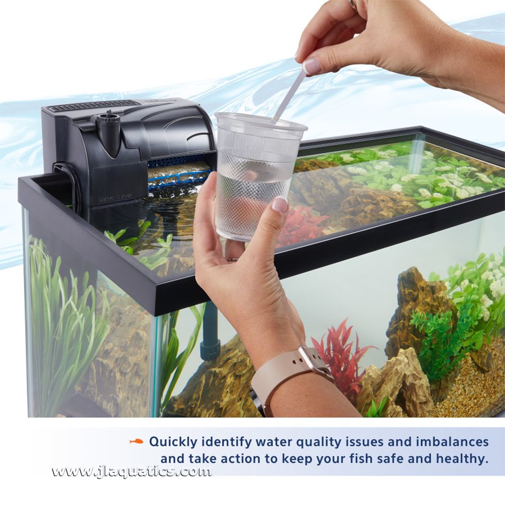 Aqueon Ammonia Test Strips being used to test aquarium water