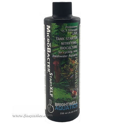 Brightwell Aquatics MicroBacter Start XLF - 250ml