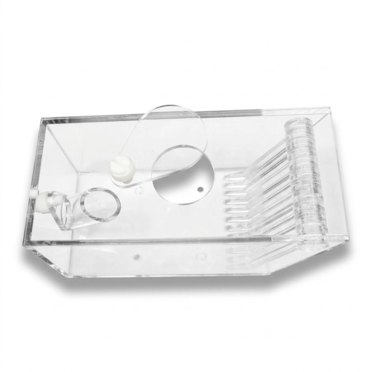 Bubble Magus Pest Trap top view
