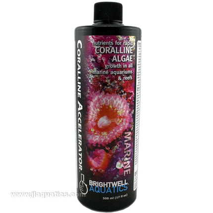 Brightwell Aquatics Coralline Accelerator - 500mL