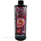 Brightwell Aquatics Coralline Accelerator - 500mL