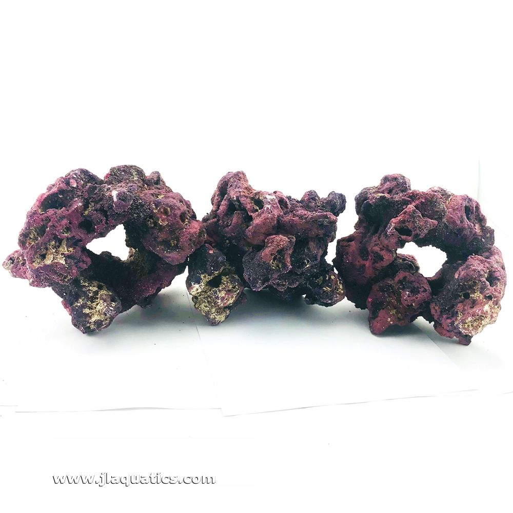 Caribsea Liferock  close up of 3 donut shaped aquarium rocks